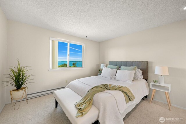 700 11th St Unit C-1, Bellingham, WA 98225 - photo 19