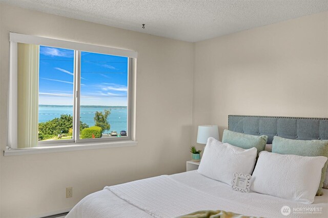 700 11th St Unit C-1, Bellingham, WA 98225 - photo 22