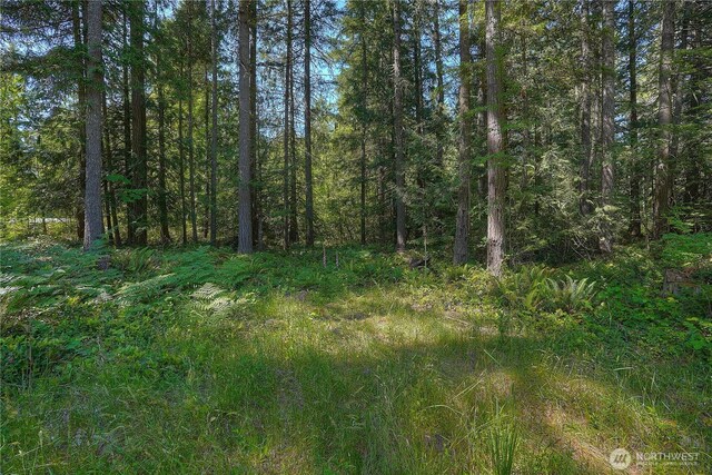 25523 157th St E, Buckley, WA 98321 - photo 39