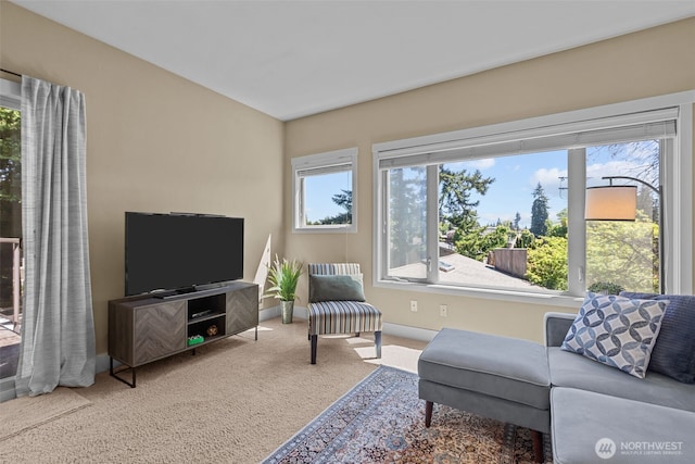 8503 Bowdoin Way Unit 203, Edmonds, WA 98026 - carpeted living room with baseboards