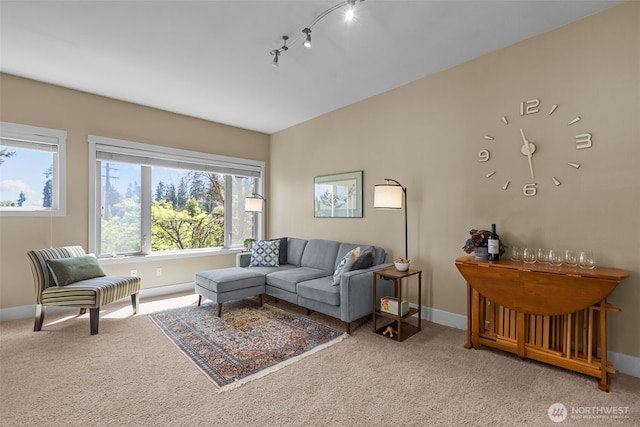 8503 Bowdoin Way Unit 203, Edmonds, WA 98026 - carpeted living area featuring baseboards and track lighting