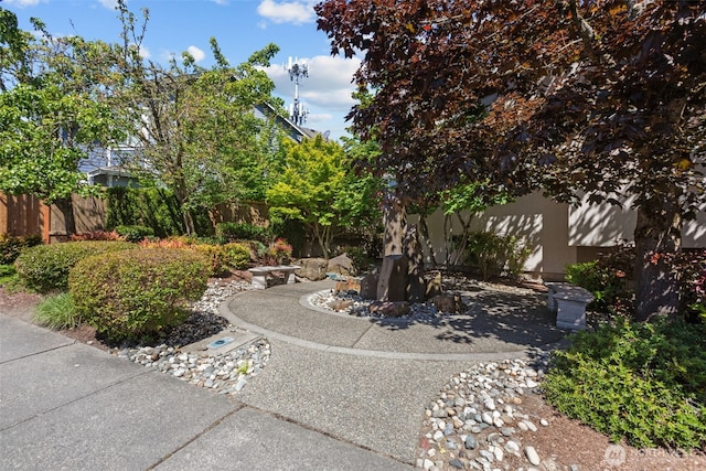 8503 Bowdoin Way Unit 203, Edmonds, WA 98026 - view of fenced backyard