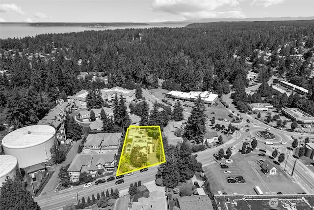 8503 Bowdoin Way Unit 203, Edmonds, WA 98026 - aerial overview of property's location with a forest, property parcel outlined, and a nearby body of water