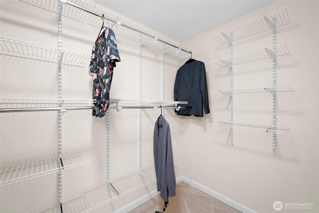5610 S 296th Ct, Auburn, WA 98001 - view of spacious closet