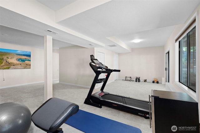 5610 S 296th Ct, Auburn, WA 98001 - exercise room with carpet flooring