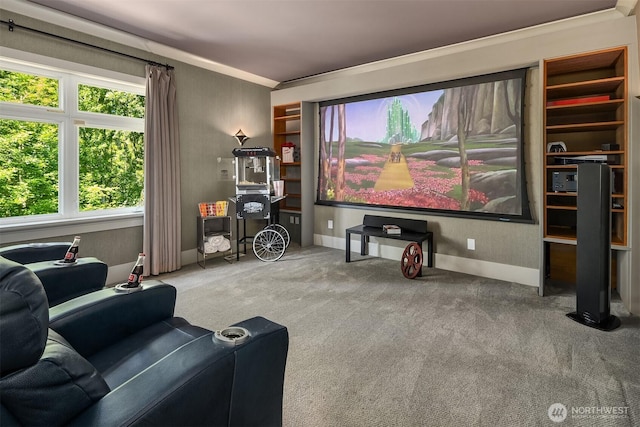 13730 Main St, Bellevue, WA 98005 - cinema with carpet flooring and baseboards