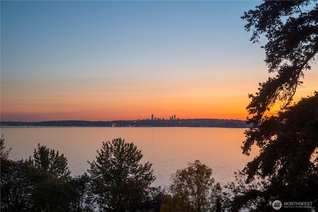 435 8th Ave W, Kirkland, WA 98033 - photo 38