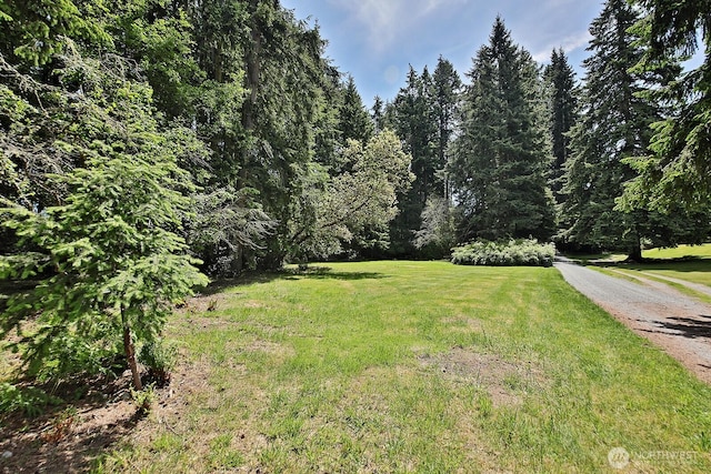 808 Woodsong Ln, Langley, WA 98260 - view of green lawn with a forest view