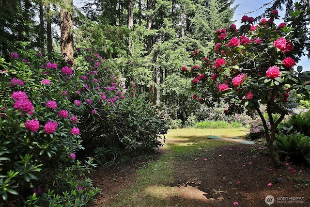 808 Woodsong Ln, Langley, WA 98260 - view of yard