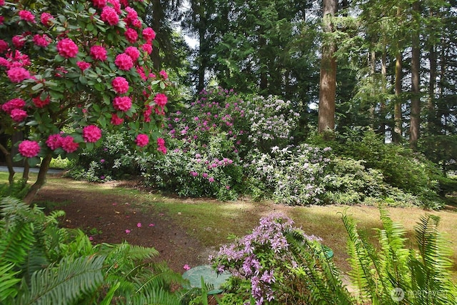 808 Woodsong Ln, Langley, WA 98260 - view of yard