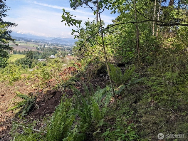 4135 Kamphouse Dr, Sumas, WA 98295