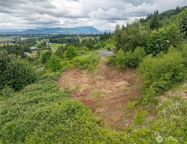 4135 Kamphouse Dr, Sumas, WA 98295