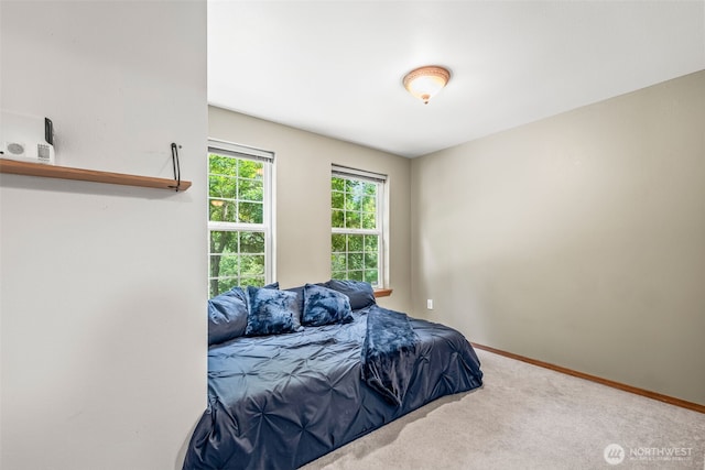 10210 Minterwood Dr NW, Gig Harbor, WA 98329 - photo 17