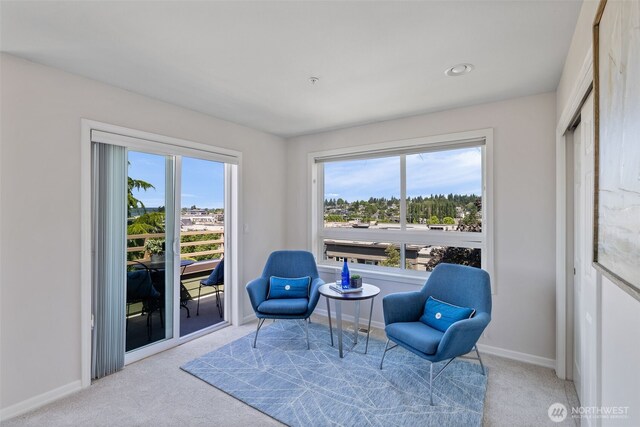 327 2nd Ave S, Kirkland, WA 98033 - sitting room with carpet and recessed lighting