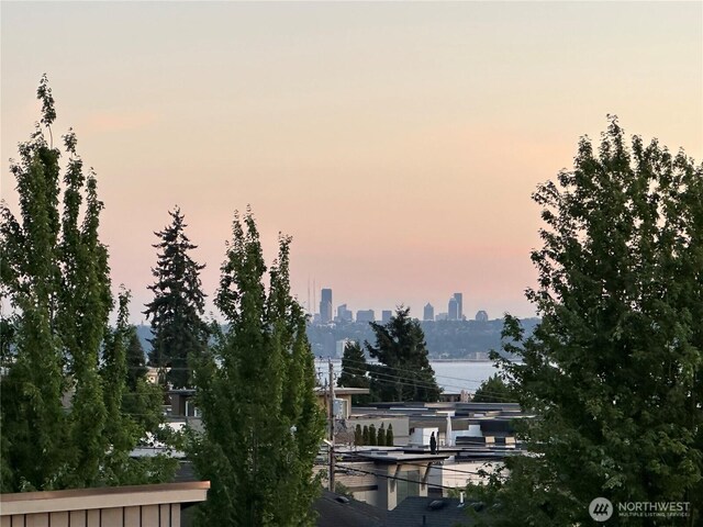 327 2nd Ave S, Kirkland, WA 98033 - city view