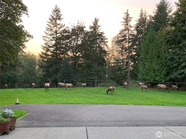29247 188th Ave SE, Kent, WA 98042 - view of property's community