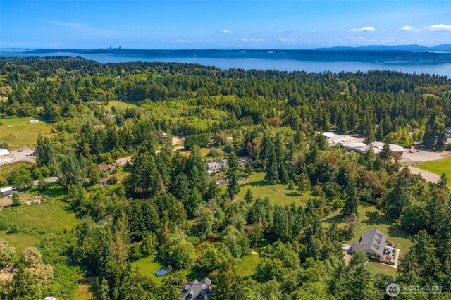 19840 Vashon Hwy SW, Vashon, WA 98070 - aerial view of property and surrounding area featuring a heavily wooded area and a large body of water