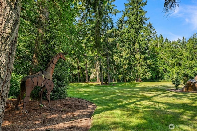 19840 Vashon Hwy SW, Vashon, WA 98070 - view of green lawn with a wooded view