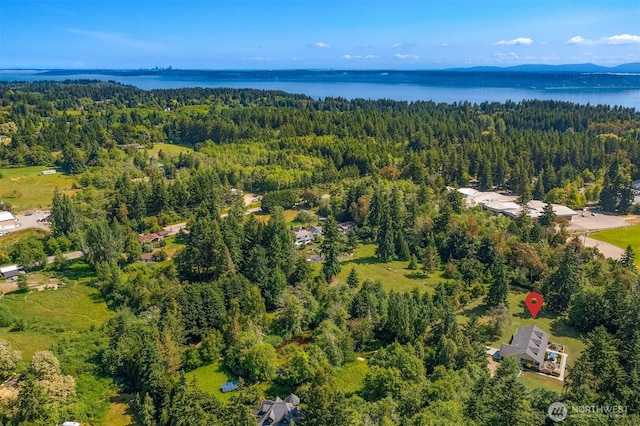 19840 Vashon Hwy SW, Vashon, WA 98070 - aerial overview of property's location featuring a forest and a large body of water