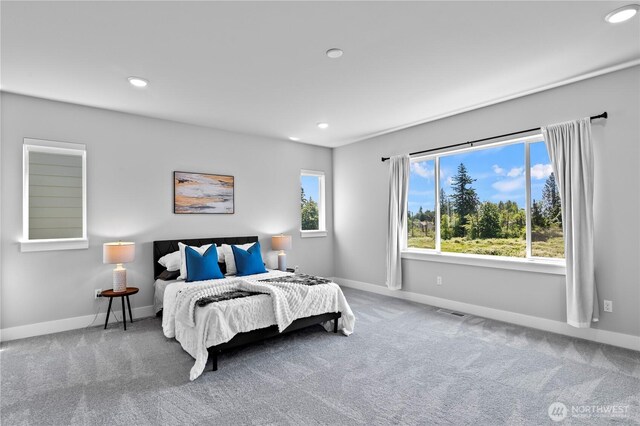 20606 137th St SE, Monroe, WA 98272 - photo 18