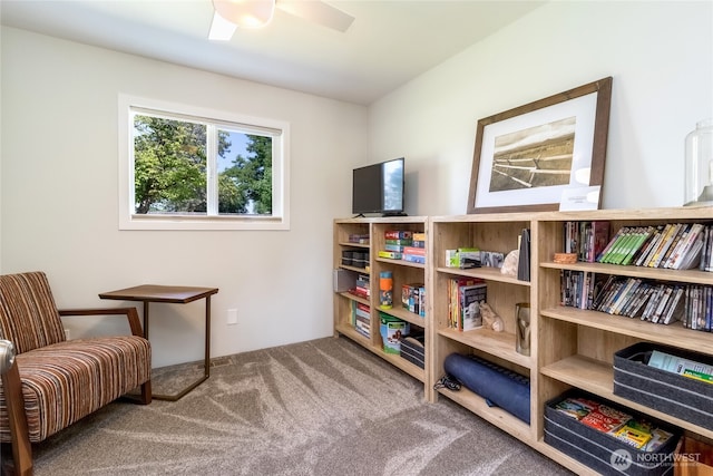939 Stanley Dr, College Place, WA 99324 - photo 12