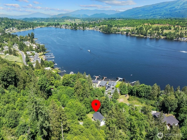 18207 Majestic Ridge Ln, Mount Vernon, WA 98274 - aerial view of property and surrounding area with a water and mountain view and a heavily wooded area