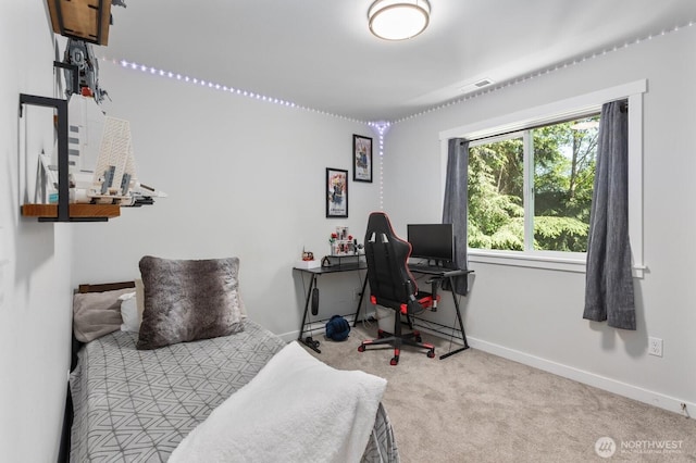18207 Majestic Ridge Ln, Mount Vernon, WA 98274 - bedroom featuring carpet floors and an office area