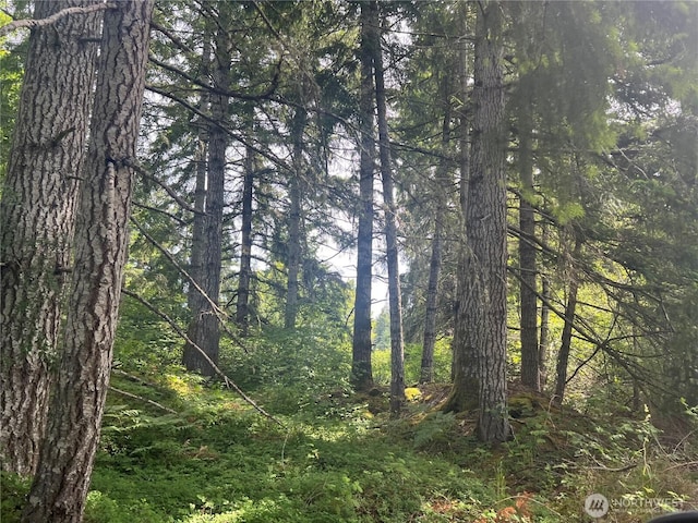 2230 W Beverly Blvd, Shelton, WA 98584 - photo 1