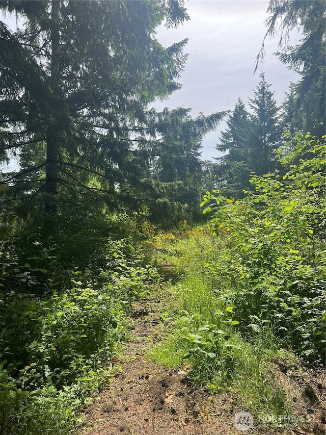 2230 W Beverly Blvd, Shelton, WA 98584 - photo 2