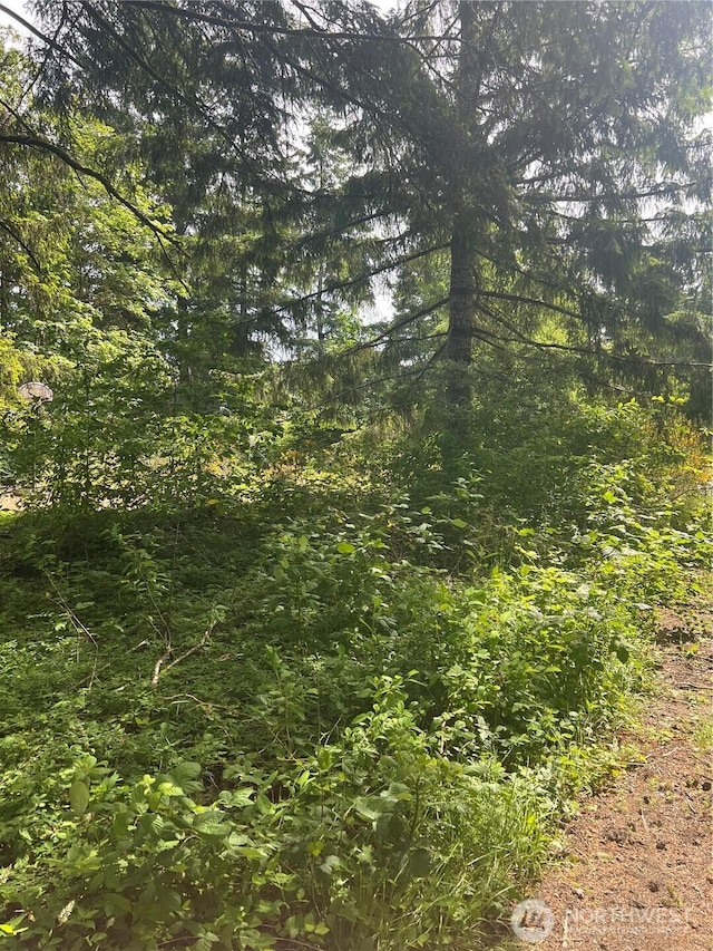 2230 W Beverly Blvd, Shelton, WA 98584 - photo 3