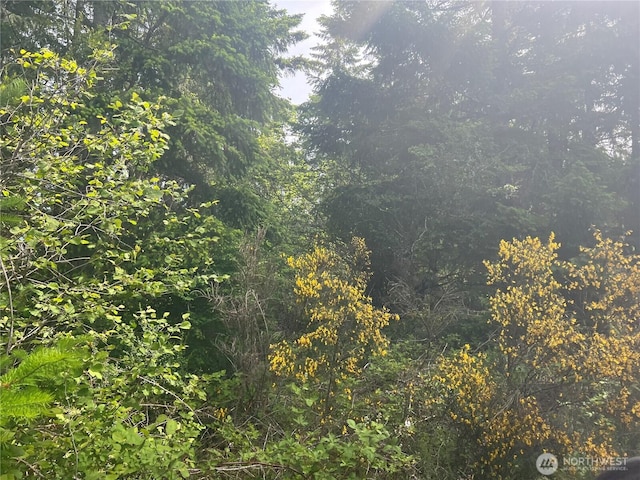 2230 W Beverly Blvd, Shelton, WA 98584 - photo 4
