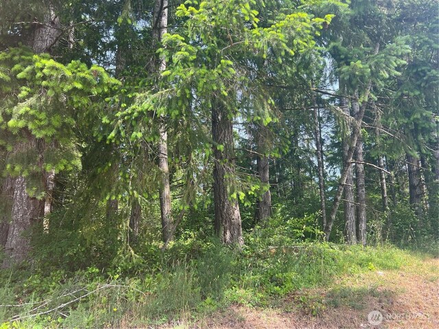 2230 W Beverly Blvd, Shelton, WA 98584 - photo 5