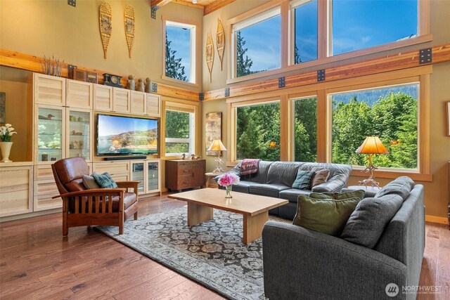 20720 501st Dr SE, Index, WA 98251 - living area featuring a high ceiling and hardwood / wood-style floors