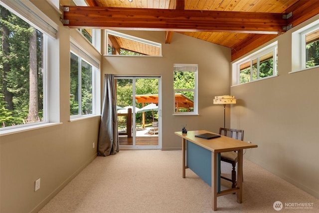 20720 501st Dr SE, Index, WA 98251 - carpeted office featuring baseboards and wooden ceiling