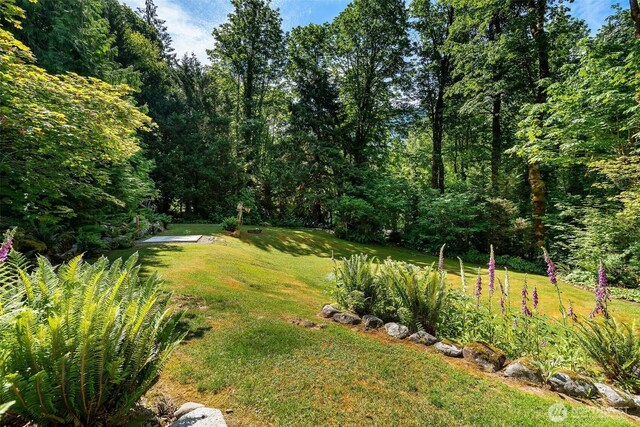 20720 501st Dr SE, Index, WA 98251 - view of grassy yard