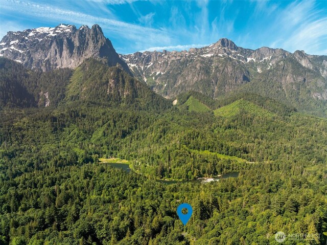 20720 501st Dr SE, Index, WA 98251 - view of mountain background featuring a heavily wooded area