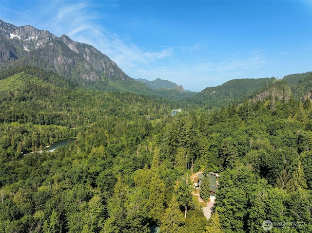 20720 501st Dr SE, Index, WA 98251 - mountain view featuring a heavily wooded area