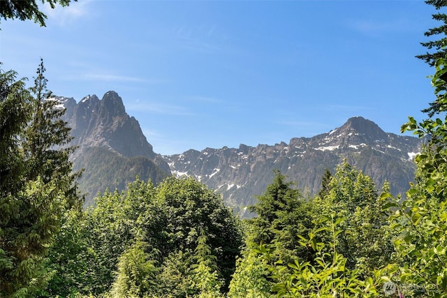 20720 501st Dr SE, Index, WA 98251 - mountain view