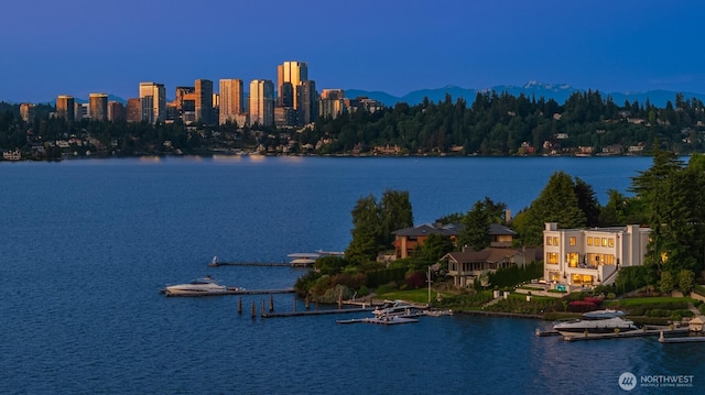 1615 Roanoke Way, Mercer Island, WA 98040 - water view featuring skyline