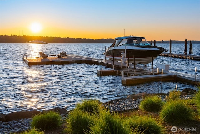 1615 Roanoke Way, Mercer Island, WA 98040 - dock featuring a water view