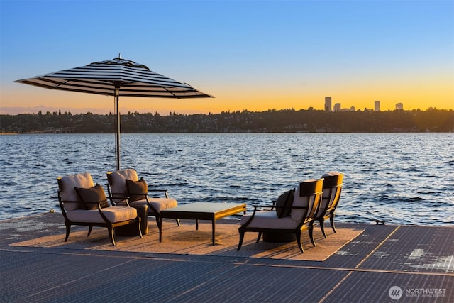 1615 Roanoke Way, Mercer Island, WA 98040 - dock area with a water view