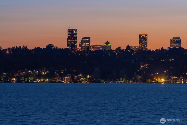 1615 Roanoke Way, Mercer Island, WA 98040 - water view featuring skyline