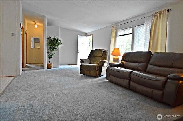 23809 101st Ave E Unit 14, Graham, WA 98338 - photo 3