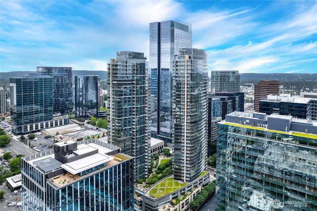 10700 NE 4th St Unit 806, Bellevue, WA 98004 - view of city