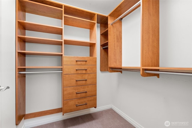 10700 NE 4th St Unit 806, Bellevue, WA 98004 - walk in closet featuring carpet floors