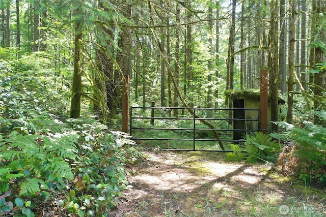 13257 118th Ave NW, Gig Harbor, WA 98329 - photo 2