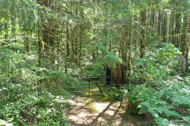 13257 118th Ave NW, Gig Harbor, WA 98329 - photo 22