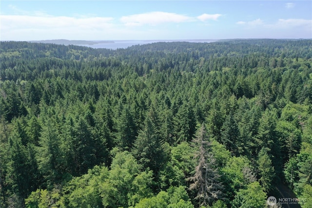 13257 118th Ave NW, Gig Harbor, WA 98329 - photo 4