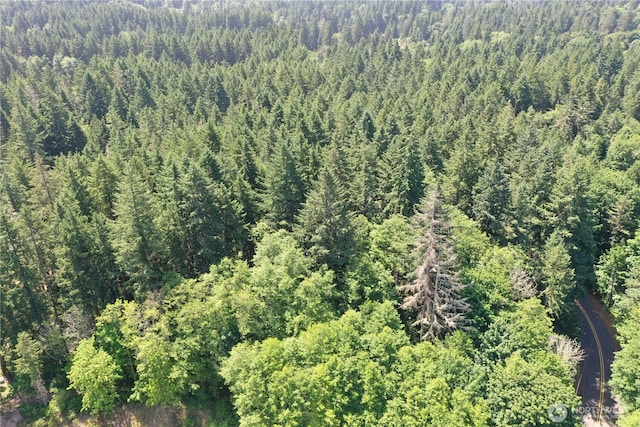 13257 118th Ave NW, Gig Harbor, WA 98329 - photo 5