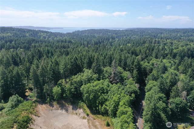 13257 118th Ave NW, Gig Harbor, WA 98329 - photo 6